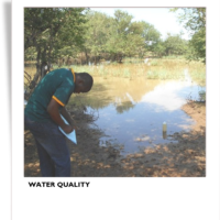 Water Quality Sampling (1)